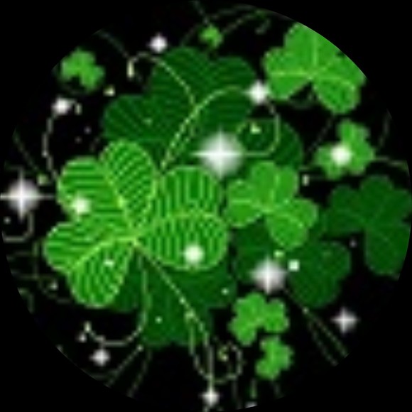 shamrock6t